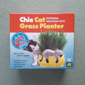 Chia cat grass planter